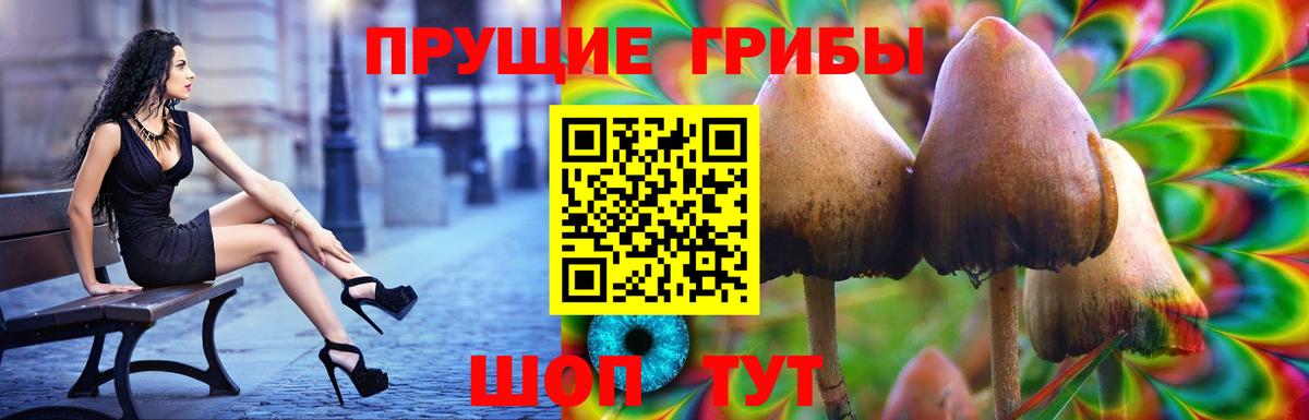 Псилоцибиновые грибы GOLDEN TEACHER Каменка